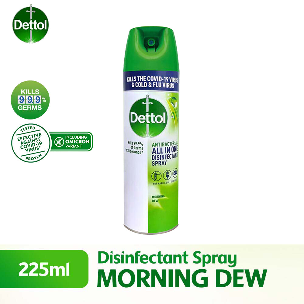 Dettol Antibacterial Disinfectant Spray 225ml Morning Dew