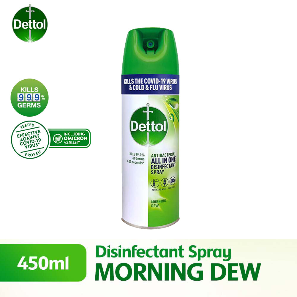 Dettol Antibacterial Disinfectant Spray 450ml Morning Dew