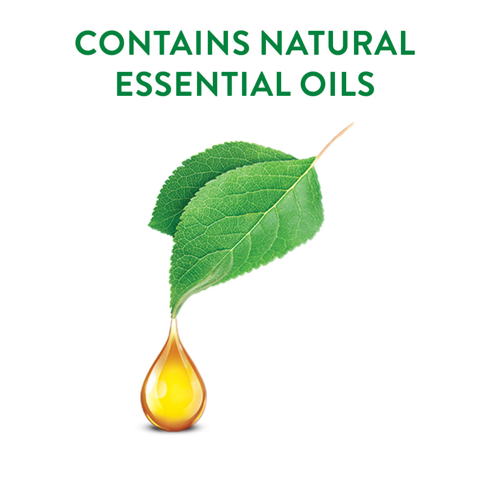 Air Wick Gel Cone Aromatic Scented Air Freshener Wild Rose 180g